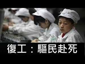 习近平强推复工将致大灾难！不复工14亿人也有办法生存！高层是否有男儿？地方官怎样避免清算？ （一平快评80，2020/02/11）