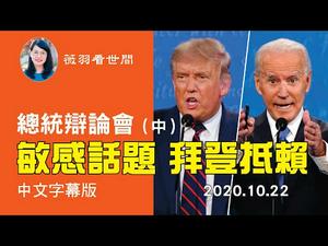 【中文字幕（中）】问到敏感话题，拜登一口否定。本集主题有拜登儿子与乌克兰关系，对华政策、北韩、医保、疫情救济方案、最低工资、移民等。| 薇羽看世间 20201024