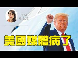 【第107期】一个16岁美国男孩，被美国主流媒体围攻，他做错了什么？假新闻是如何产生的？左媒与中共又有哪些利益瓜葛？| 薇羽看世间 20200813