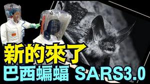有人在按部就班 公布著最新病毒的路径与时间 ⋯ 巴西 香港 广东 武汉《今日点击》（03 15 25）#川普 #特朗普