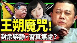 解密柴静新片《陌生人》1小时被封杀原因！党媒酸习近平不亲临抗洪，团中央抓社交媒体境外势力，全被王朔魔咒言中！（老北京茶馆/第990集/2023/08/14）