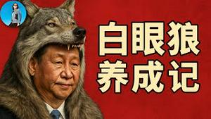 白眼狼养成记：中国如何薅爆世界银行和亚开行！｜小翠时政财经 20250509#712