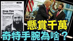 川普与叙利亚总统高谈：古龙水 几个太太 侧门进白宫 ⋯ 惊呆网路（11/12/25）#川普 #trump #特朗普 #musk #高市早苗 #关税 #习近平