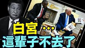 一旦川普邀请习近平 ⋯ 他肯定想到：活摘器官与 89 64（05 21 25）#川普 #特朗普 #trump #马斯克 #elonmusk #互惠关税  #china #chinese #tarif