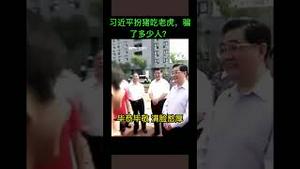 习近平扮猪吃老虎，骗了多少人？