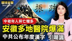 安徽多地医院爆满 中老年人猝死增多；中共公布年度汉字 引民众嘲讽；圣诞节前夕出行人流多 加州油价略降；采草莓不必跑大湖 娇贵无毒草莓桃园也能采【 #环球直击 】｜ #新唐人电视台