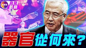 【真飞访谈】16年调查，揭爆炸式发展的器官移植产业！
