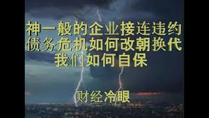 财经冷眼：神一般的企业巨头接连违约，债务危机将至，洪水下如何自保？（20191207第101期）