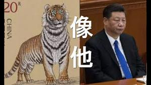 中纪委明说了：他当政，官员都躺平！虎年邮票暗喻：习近平虎威不再，气势衰落。恒大有政治问题