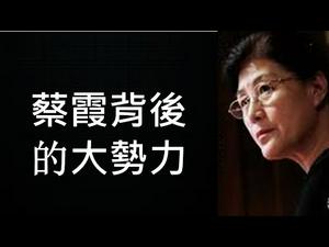 蔡霞出逃连过两关，背后站著反习大势力！对蔡霞态度评价，事关民主转型的成败（一平快评151，2020/8/19）