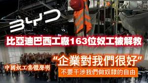 比亚迪巴西工厂163位奴工被解救。中国奴工集体声明：企业对我们很好，不要干涉我们做奴隶的自由。2024.12.26NO2595#比亚迪#巴西工厂