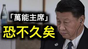 习近平「事无巨细、亲力亲为」恐不久矣？「不指示他们就不作为」⋯⋯