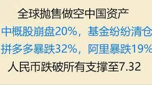 财经冷眼：全球不计成本抛售中国资产，中概股崩盘20%，基金纷纷清仓！人民币跌破所有支撑至7.32，7.5指日可待！拼多多暴跌32%阿里暴跌19%  ！习将取消香港特区？（20221025第881期）