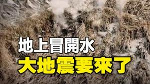 西安出热水🔥🔥异象：地上冒开水❗ 这个地方大地震要来了❓其实甘肃地震早有征兆 被中共掩埋❗