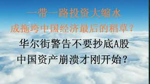 败光，一带一路投资大缩水，成拖垮中国经济最后的稻草？华尔街警告不要抄底A股，中国资产崩溃才刚开始？(20231020第1100期)