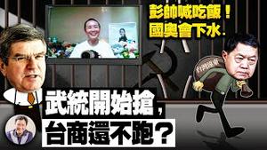 平安视频反证彭帅遭控，国奥委成帮凶；欧盟跟进立陶宛挺台；“台独金主”？原统战重点远东集团遭抢；柳传志被司马南撕咬，红色企业也不保？【江峰漫谈20211122第405期】