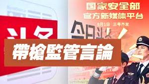 【带枪监管言论】聊一下胡锡进被禁言、网络身份证、国安进入今日头条等事情。2024.08.02NO2427#胡锡进#网络身份证