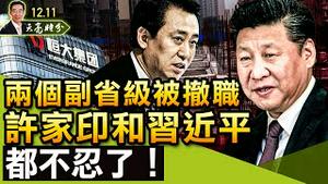 【被黄标！】两个副省级被撤职，许家印和习近平都不忍了；楼继伟发飙；德云社关门（政论天下第565集 20211211）天亮时分