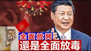 一月八号国际出入境解封，是全面放开还是全面放毒?《建民论推墙1868》