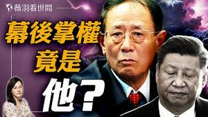 习近平被逼宫？中国或已被这三位1942年生老人掌权！胡耀邦之子胡德平进入核心领导层？|薇羽看世间 20250301
