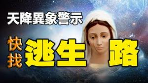 🔥🔥天下“神秘液体”与“死鸟雨“、圣像流泪...天降异像大难将至❓