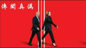 中文互联网上重要传闻哪些是真哪些是伪？非法移民怎么办建民给美国政府支一招《建民论推墙第2401》