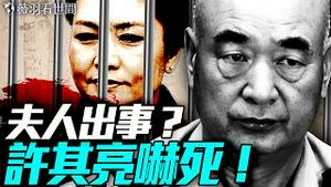 许其亮被吓死了？助彭丽媛除李克强？流星殒落，将有大人物死？｜薇羽看世间 20250602
