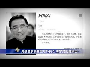 海航董事长王健之死轰动全球？专家揭露关键原因(意外坠亡)