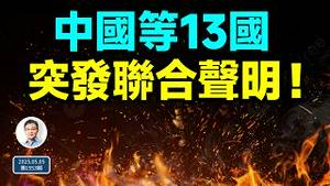 情况有变，他要跑步接习近平的班！中国等13国突发联合声明（文昭谈古论今20250505第1553期）