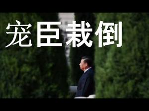 习近平宠臣栽倒！他搞砸了习的面子工程。乌克兰奋起抗中。欧洲堵住中国疫苗。韩国抱怨中国沙尘暴