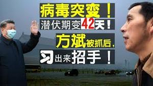 武汉肺炎病毒突变！潜伏期42天！方斌被抓后，习出来招手！武汉放弃百步亭？（老北京茶馆/第244集/2020/02/11）