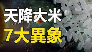 🔥🔥天降大米、预言石出现   中国大变局 改朝换代7大异象❗