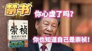 【禁书】《崇祯，勤政的亡国君》；你心虚了吗？你也知道自己是崇祯！2023.10.16NO2025#崇祯#习近平