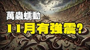 🔥🔥马陆大军攻佔民宅 街上万虫蠕动❗台湾11月有强震 预测真会成真❓