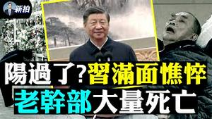 港媒：胡春华辅佐王沪宁，韩正接替王岐山！习频繁更换“卫军”司令；中共检察院：弱者就是要被强者践踏；中共检察院：弱者就要被践踏；鲍彤女儿转消息：中共老干部大量死亡，骨灰上墙等一年多｜新闻拍案惊奇 大宇