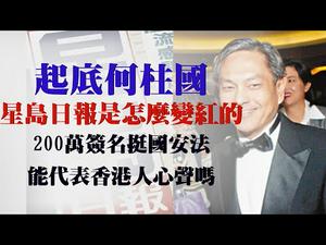 【第39期】起底星岛日报老板何柱国，海外中文媒体为中共站台挺香港国安法；香港社会选边站，200万签名挺国安法能代表香港人心声吗？| 薇羽看世间 20200528