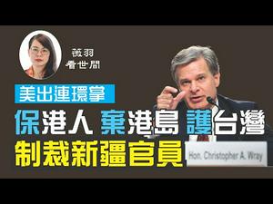 【第77期】709律师大抓捕将再现香港？李嘉诚英国建超级避风港？美国连续重拳出击，保护香港人，守护台湾，FBI盯上了中共猎狐行动。| 薇羽看世间 20200709