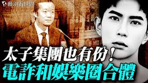 太子集团陈志是大金主！电诈和娱乐圈合体；李玟之死跟中共大佬的女儿有关；娱乐圈是所有黑钱的漂白剂。｜薇羽看世间 20251112