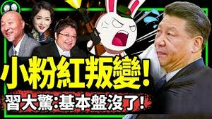 两岸小粉红叛变惊动习近平，保党基本盘大塌方？金星、韩红、陈佩斯声讨中国好声音，力挺李玟！（老北京茶馆/第995集/2023/08/21）