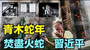 【青木蛇年天谴！】香港大火已156死 检测都是假的！意在掩盖的独立委员会 污名3乱港者保释 现场逆天惨？（12/02/25）#川普 #trump #特朗普 #高市早苗 #