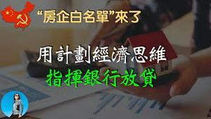 中国监管部门制定房企白名单，集体降智指挥银行“精准”放贷！｜米国路边社 [20231121#506]