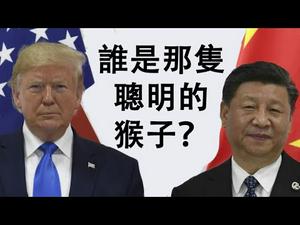 川习会在即,谁是那只聪明的猴子?习近平的两个小动作|贸易战正酣,川普在佛州竞选连任(天亮时分第23集20190619)