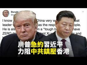 【快讯！】川普对香港连发警告，急约习近平会面，中共即将镇压？｜世界的十字路口 唐浩