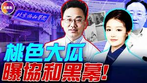 医疗界「海王」桃色大瓜, 小四董小姐背景惊人! 幕后大佬浮出水面, 协和4+4藏大黑幕!