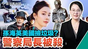 香港名媛死后托梦破案；当代秦桧？中共给他塑跪像；演员不香吗，孙海英去美国捡垃圾？真相是什么？河北一警察局长被杀，报应不爽。｜薇羽看世间  第617期 20230302