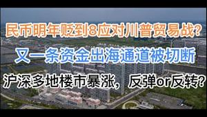 突发！民币明年将贬至8应对川普贸易战？又一条资金出海通道被切断，无数人损失惨重！沪深多地楼市暴涨，反弹OR反转？(20241211第1321期)