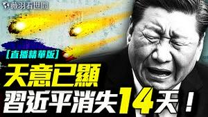 陨石坠落，中共高层要变天？血云笼北京！习近平将寿终还是死于反扑？｜薇羽看世间【直播精华版】 20250603
