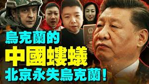 普京拼了，在乌克兰华人成蝼蚁？习近平进退两难，乌克兰总统泽连斯基看清中共？铁鍊女案为何绑定俄乌之战？（老北京茶馆/第657集/2022/03/02）