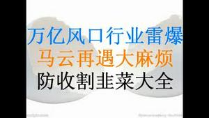 财经冷眼：万亿风口行业雷爆！华晨汽车集团破产重组！ 马云再遇大麻烦！ 收割韭菜花样大全！（20201120第385期）