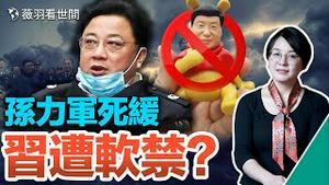 💥中南海政变真假？军权归党中央？中俄闹翻？俄罗斯两朋友无中共；孙力军供出大老虎被轻判，习近平还有机会动手吗？｜薇羽看世间 第543期 20220923